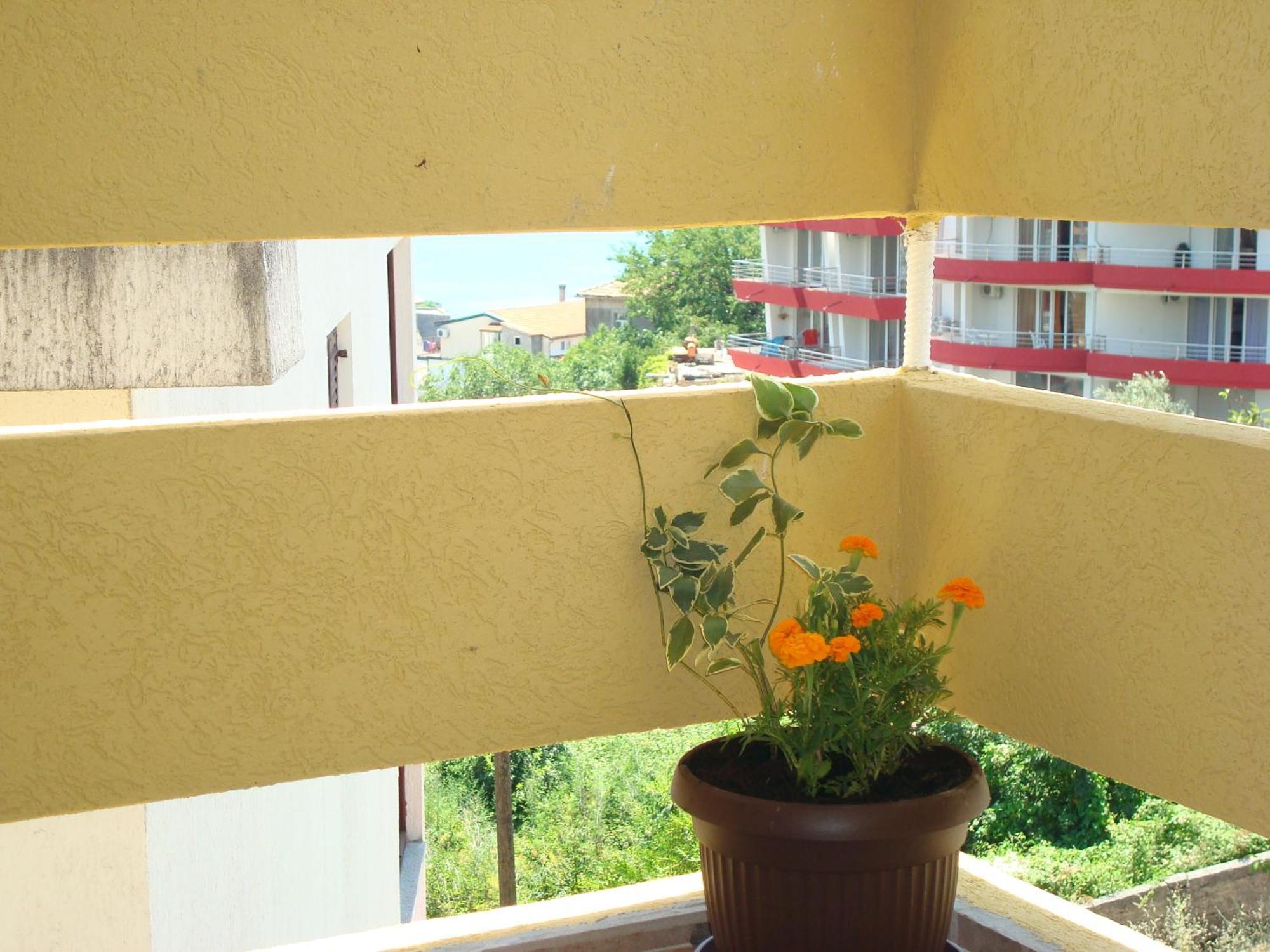 Apartments Cejovic 울친 외부 사진